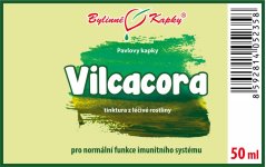 Obrázek_(1)