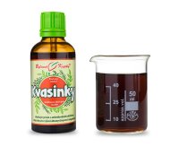 Kvasinky - bylinné kapky (tinktura) 50 ml - doplněk stravy