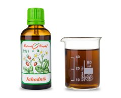 Jahodník list + květ BIO - bylinné kapky (tinktura) - doplněk stravy 50 ml