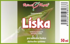 Obrázek