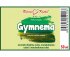 Gymnema (Gurmár)- bylinné kapky (tinktura) 50 ml - doplněk stravy