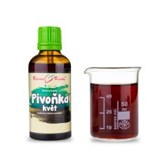 Obrázek (1) Obrázek (1)