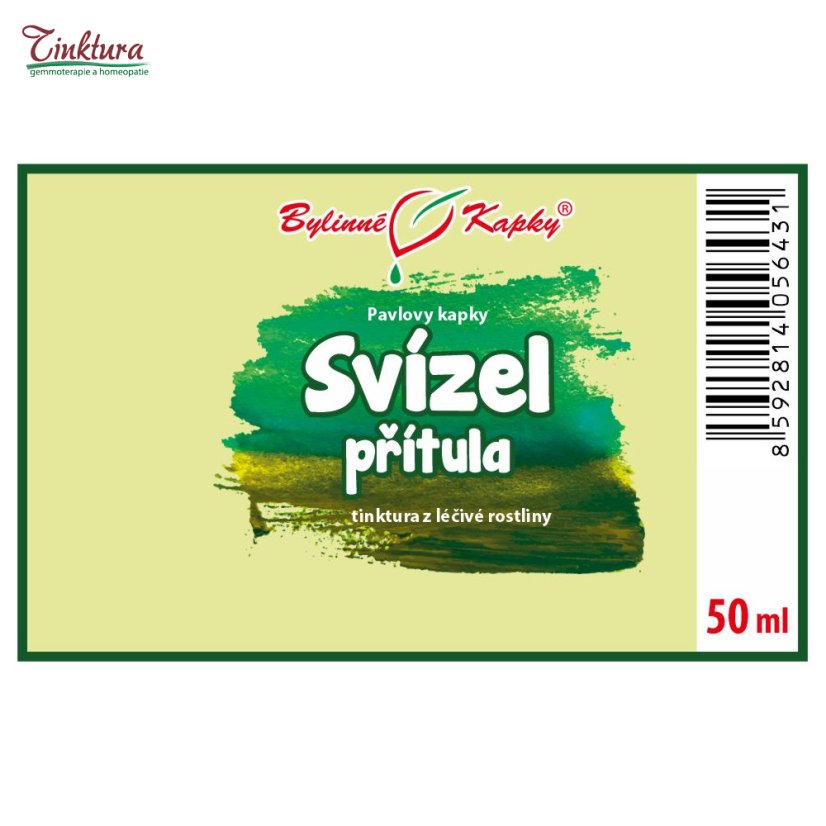 Obrázek