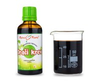 Dračí krev - bylinné kapky (tinktura) - doplněk stravy  50 ml