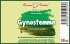 Gynostemma (jiaogulan) - bylinné kapky (tinktura) 50 ml - doplněk stravy