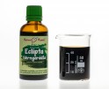 Eclipta (Eklipta - Bhrngarádža) - bylinné kapky (tinktura) 50 ml - doplněk stravy