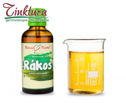 Obrázek (1)
