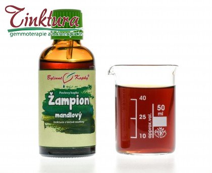 Žampion mandlový (brazilský) - bylinné k - bylinné kapky (tinktura) 50 ml - doplněk stravy