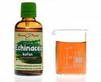 Echinacea (třapatka) kořen (bylinné kapky - tinktura) 50 ml - doplněk stravy