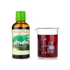 Latnatec - bylinné kapky (tinktura) 50 ml - doplněk stravy