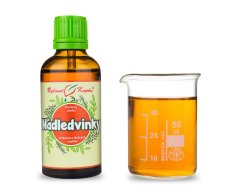 Nadledvinky - bylinné kapky (tinktura) 50 ml - doplněk stravy