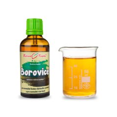 Borovice výhonky - bylinné kapky (tinktura) 50 ml - doplněk stravy