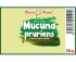 Mucuna pruriens - bylinné kapky (tinktura) 50 ml - doplněk stravy