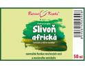 Slivoň africká - bylinné kapky (tinktura) 50 m - doplněk stravy