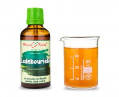 Ledebouriela - bylinné kapky (tinktura) 50 ml - doplněk stravy