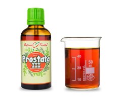 Prostata III - bylinné kapky (tinktura) 50 ml - doplněk stravy