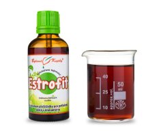 Obrázek (1) Obrázek (1)