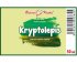 Kryptolepis (Cryptolepis) - bylinné kapky (tinktura) 50 ml - doplněk stravy