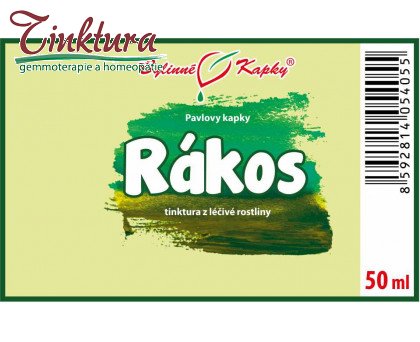 Obrázek