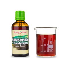 Housenice červená - Cordyceps tinktura 50 ml