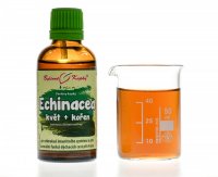 Echinacea (třapatka) kvetoucí nať + kořen (bylinné kap. - tinktura) 50 ml - doplněk stravy