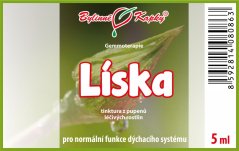 Obrázek