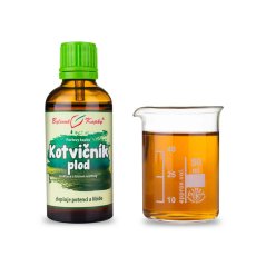 Kotvičník plod tinktura TCM 50 ml