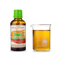 Jmelí z ořešáku černého - kapky Duše rostlin (tinktura) 50 ml - doplněk stravy