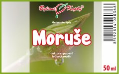 Morušovník - tinktura z pupenů (gemmoterapie) 50 ml - doplněk stravy