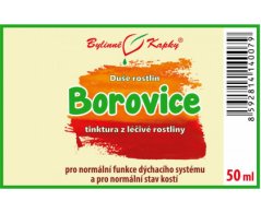 Borovice - kapky Duše rostlin (tinktura) 50 ml - doplněk stravy