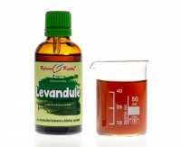 Levandule - bylinné kapky (tinktura) 50 ml - doplněk stravy