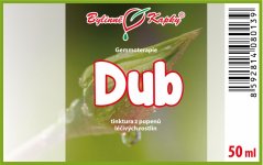 Dub - tinktura z pupenů (gemmoterapie) 50 ml - doplněk stravy