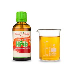 Hřib - bylinné kapky (tinktura) 50 ml
- doplněk stravy