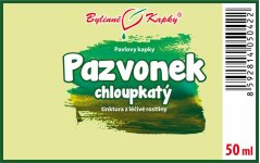 Obrázek