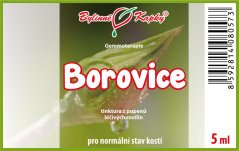 Borovice - tinktura z pupenů 5 ml - gemmoterapie - doplněk stravy