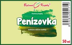 Obrázek (1)
