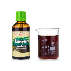 Žampion mandlový (brazilský) tinktura 50 ml Žampion mandlový (brazilský) tinktura 50 ml