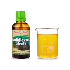 Kadidlovník pilový syn. indický ( Olibanum, Boswelie, Boswellia serrata) tinktura 50 ml