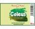 Coleus - bylinné kapky (tinktura) 50 ml - doplněk stravy