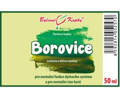 Borovice výhonky - bylinné kapky (tinktura) 50 ml - doplněk stravy