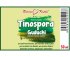 Tinospora (chebule srdčitá, Guduchi) - bylinné kapky (tinktura) 50 ml - doplněk stravy