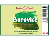 Borovice výhonky - bylinné kapky (tinktura) 50 ml - doplněk stravy
