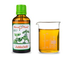 Obrázek Obrázek