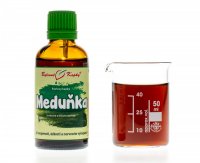 Meduňka - bylinné kapky (tinktura) 50 ml- doplněk stravy