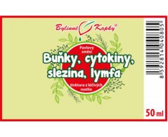 Obrázek