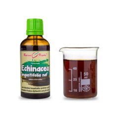 Echinacea angustifolia nať (třapatka úzkolistá) Pavlovy bylinné kapky (tinktura) 50 ml