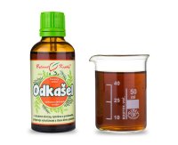 Průdušky - vlhký k. (Odkašel) - bylinné kapky (tinktura) 50 ml - doplněk stravy