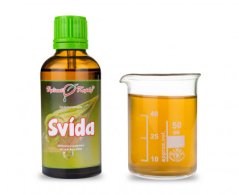 Svída - tinktura z pupenů (gemmoterapie) 50 ml - doplněk stravy