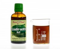 Azadirachta list (Nimba, Neem) - bylinné kapky (tinktura) 50 ml - doplněk stravy