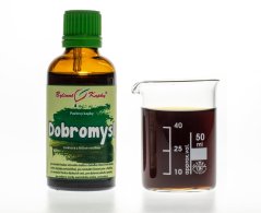 Obrázek